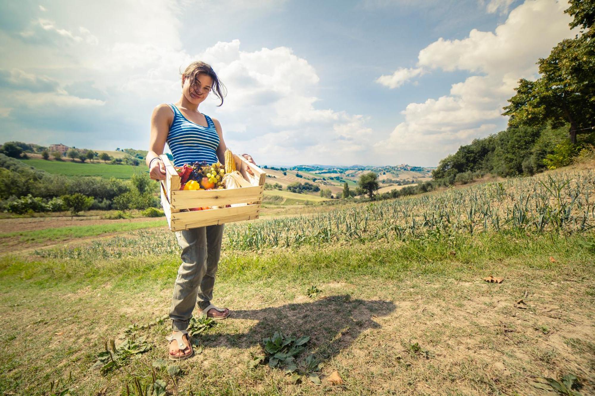 Agriturismo Fonte Carella Monte San Pietrangeli Εξωτερικό φωτογραφία